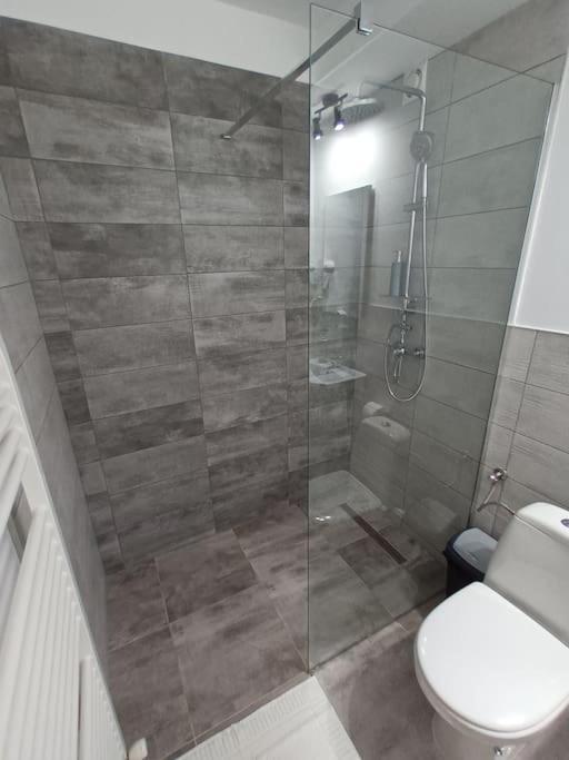 Old Town Studio 2 Apartment Nr 4 Бая-Маре Экстерьер фото