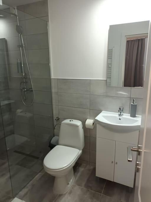 Old Town Studio 2 Apartment Nr 4 Бая-Маре Экстерьер фото